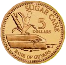 5 Coin
